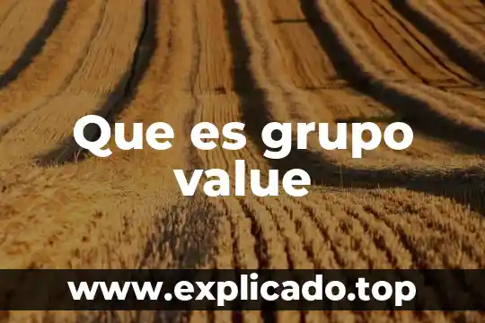 Que es grupo value