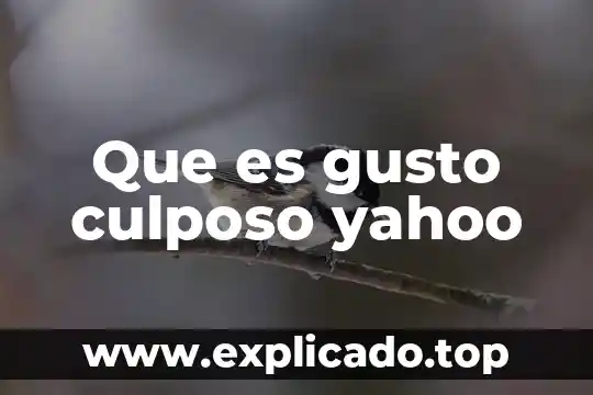 Que es la explotacion infantil yahoo 3 Que es gusto culposo yahoo