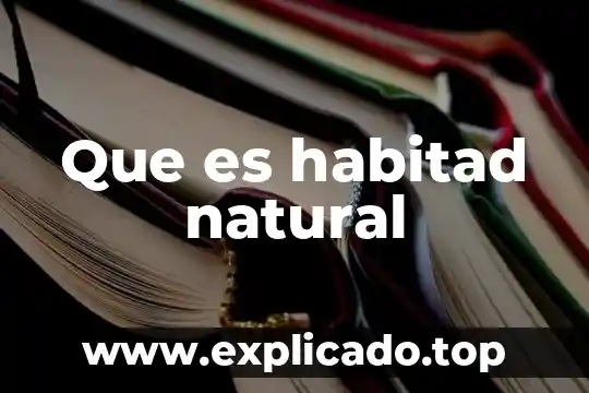 Qué es chapa de madera natural 4 Que es habitad natural