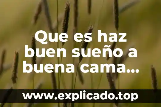Qué es un percil ejemplos 7 Que es haz buen sueño a buena cama dicho