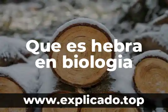 Qué es la distancia de trabajo en biología 7 Que es hebra en biologia
