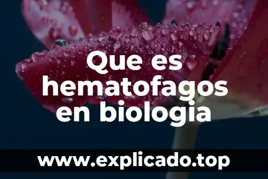 Biologia que es el adn 8 Que es hematofagos en biologia