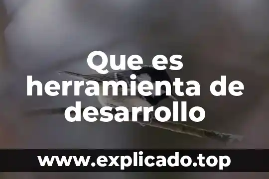 Que es comunicacion como herramienta de direccion 5 Que es herramienta de desarrollo