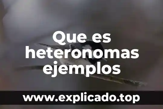 Que es heteronomas ejemplos
