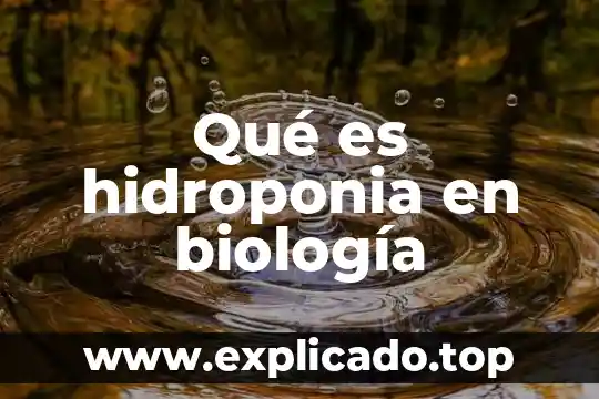 Que es la biologia universisda 7 Qué es hidroponia en biología