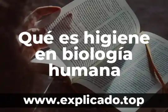 Que es la auditoria de seguridad e higiene 6 Qué es higiene en biología humana