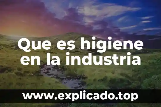 Que es la auditoria de seguridad e higiene 3 Que es higiene en la industria