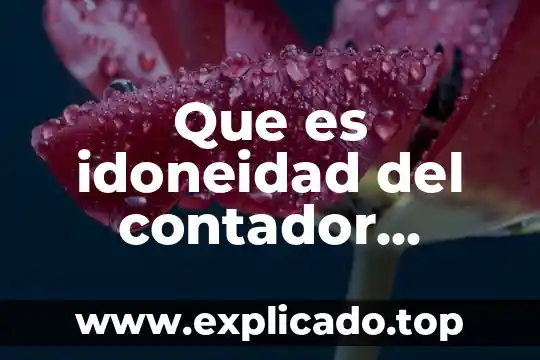Que es un contador de costos 7 Que es idoneidad del contador publico autorizado