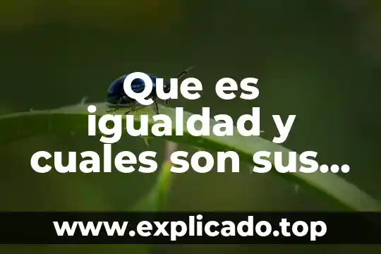 Que es un ensayo y cuales sonses partes 4 Que es igualdad y cuales son sus propiedades