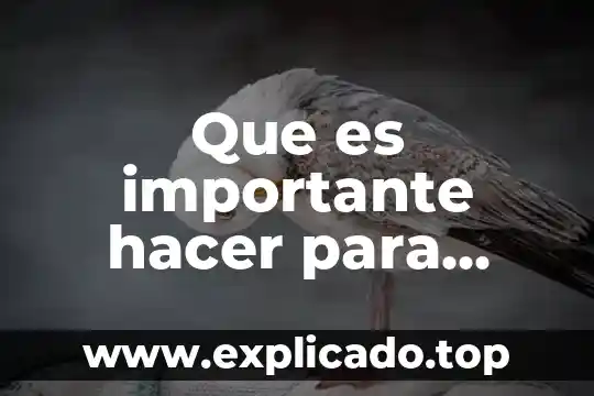Que es una dieta balanceada y ejemplos 8 Que es importante hacer para consumir una dieta saludable