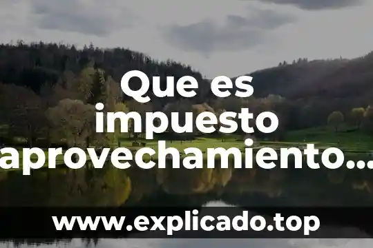 Que es la desgravación de productos 4 Que es impuesto aprovechamiento derechos y productos