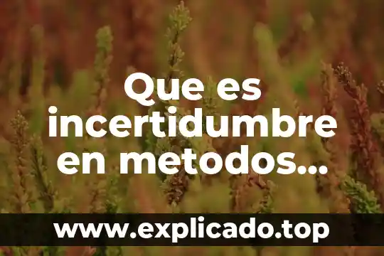 Letra que es de los conjuntos numéricos enteros 5 Que es incertidumbre en metodos numericos