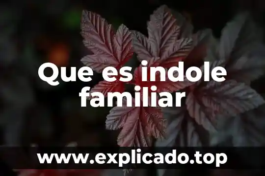 Que es la violencia familiar de los adolescentes 6 Que es indole familiar