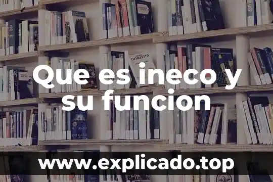 Que es la funcion diastolica 7 Que es ineco y su funcion