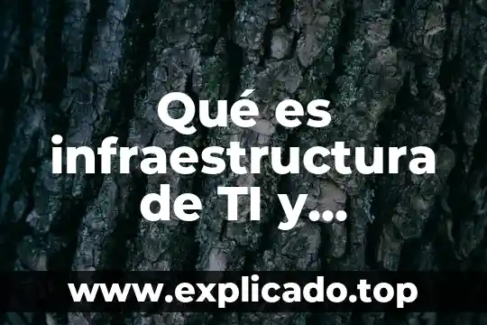 Por que es importante la rfc en una empresa 7 Qué es infraestructura de TI y significado de sus siglas