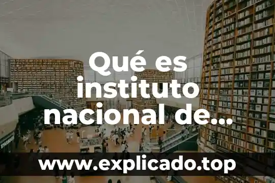 Que es el circulo de bellas artes 6 Qué es instituto nacional de bellas artes