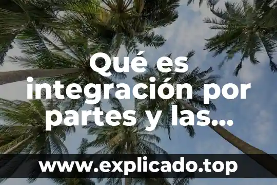 Que es la etapa de integración 3 Qué es integración por partes y las directrices