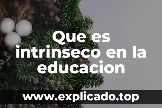Que es nem en educacion 5 Que es intrinseco en la educacion