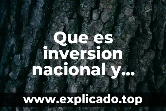 Que es el monto de inversion extrangera directa 7 Que es inversion nacional y extranjera