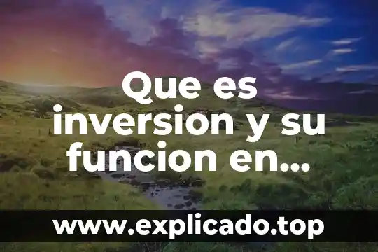 Que es inversion y su funcion en economia