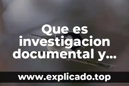 Campo esteril desechable que es 3 Que es investigacion documental y de campo