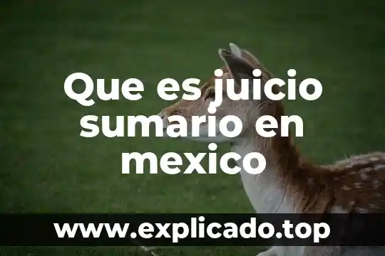 Qué es nagware en informática 8 Que es juicio sumario en mexico