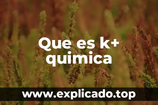 67K que es la k 3 Que es k+ quimica