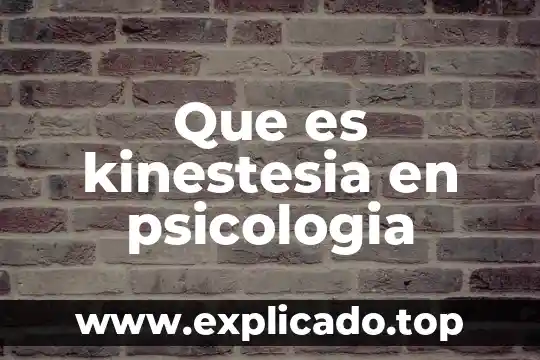 Que es la funcion afectividad en la psicologia 8 Que es kinestesia en psicologia