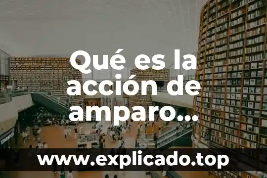 Vibrio que es 3 Qué es la acción de amparo constitucional en Bolivia