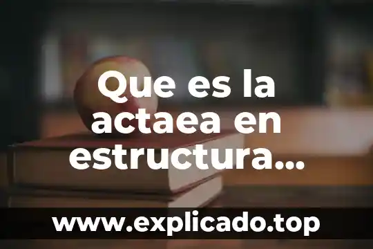 Que es el ipr estructura socioeconomica 8 Que es la actaea en estructura socioeconomica de mexico