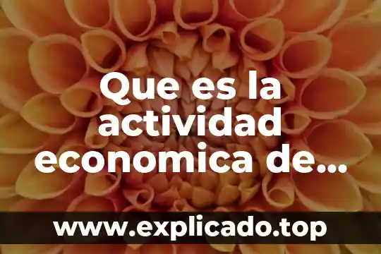 Por que es importante la conciencia fonologica 5 Que es la actividad economica de una empresa