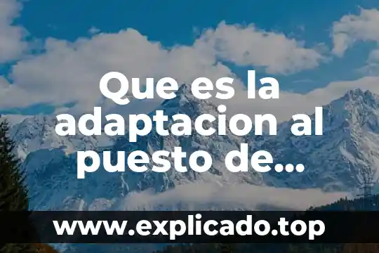 Que es el analisis del puesto 5 Que es la adaptacion al puesto de trabajo