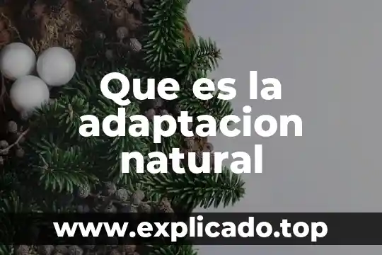 Qué es chapa de madera natural 7 Que es la adaptacion natural