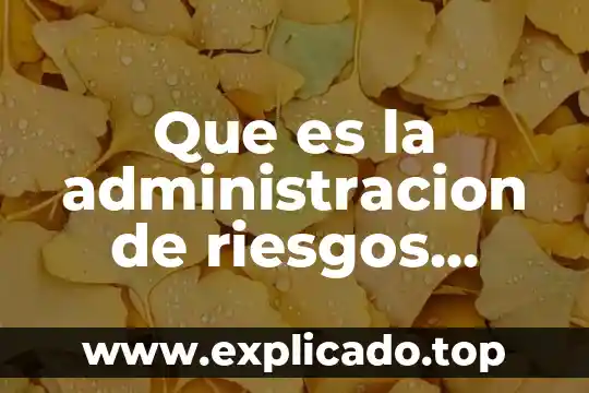 Que es teorias empresariales 4 Que es la administracion de riesgos empresariales