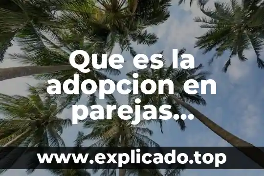 Que es la competencia adm en mexico 4 Que es la adopcion en parejas homosexuales en mexico