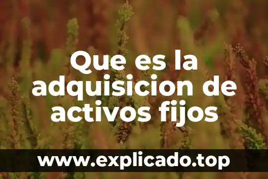 Qué es mejor dientes fijos o removibles 8 Que es la adquisicion de activos fijos
