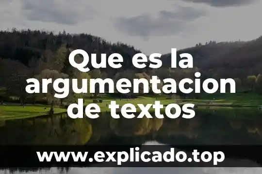 Que es la argumentación según Tamayo Salmorán 4 Que es la argumentacion de textos