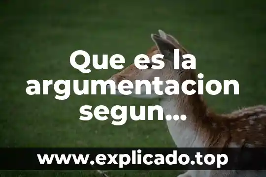 Que es la argumentación según Tamayo Salmorán 8 Que es la argumentacion segun perelman