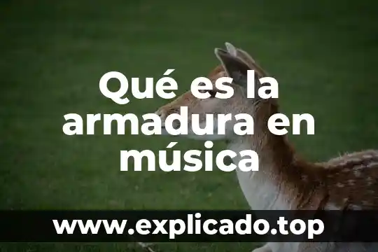 Que es una armadura en arquitectura 3 Qué es la armadura en música