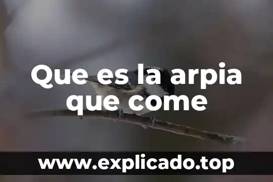 Que es lo que se come al piloto en lost 4 Que es la arpia que come