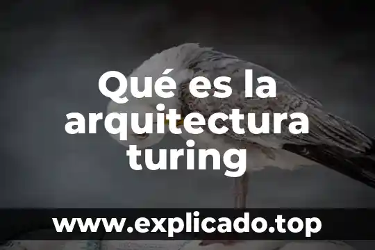 Que es una arista en arquitectura 6 Qué es la arquitectura turing