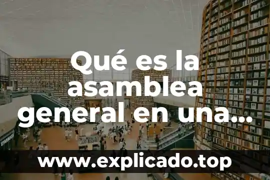 Que es una sociedad anonima de garantia reciproca 7 Qué es la asamblea general en una sociedad anónima