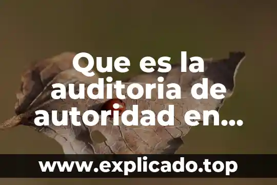ECured que es comunicación 6 Que es la auditoria de autoridad en informatica en ecured
