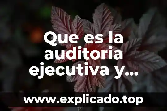 Que es una resolucion administrativa ficta 4 Que es la auditoria ejecutiva y administrativa educatina