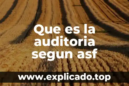 Viena 8o qué es 6 Que es la auditoria segun asf