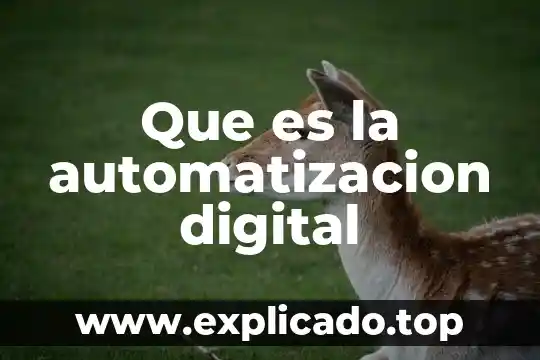 Que es un hulle digital 4 Que es la automatizacion digital