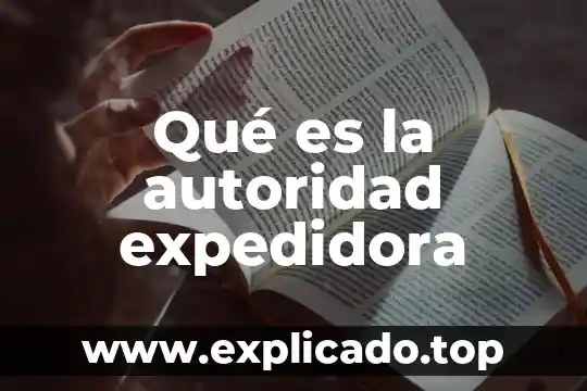 Acepciones de conciencia que es 7 Qué es la autoridad expedidora