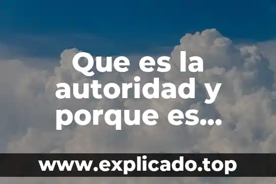 Que es una perrilla y porque sale 3 Que es la autoridad y porque es importante