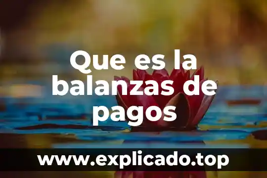 Que es balance pagos 5 Que es la balanzas de pagos