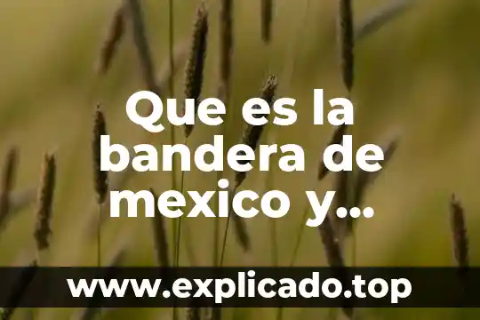 Juego tochito bandera que es 3 Que es la bandera de mexico y significado de colores